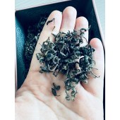 巫山野树老鹰茶——精品家庭装50g