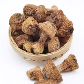 光雾良源姬松茸120g/盒
